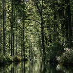 Waldhotel Eiche Hotel Burg (Spreewald)