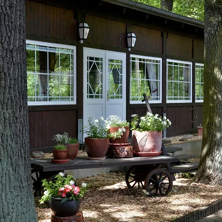Waldhotel Eiche Hotel Burg (Spreewald)
