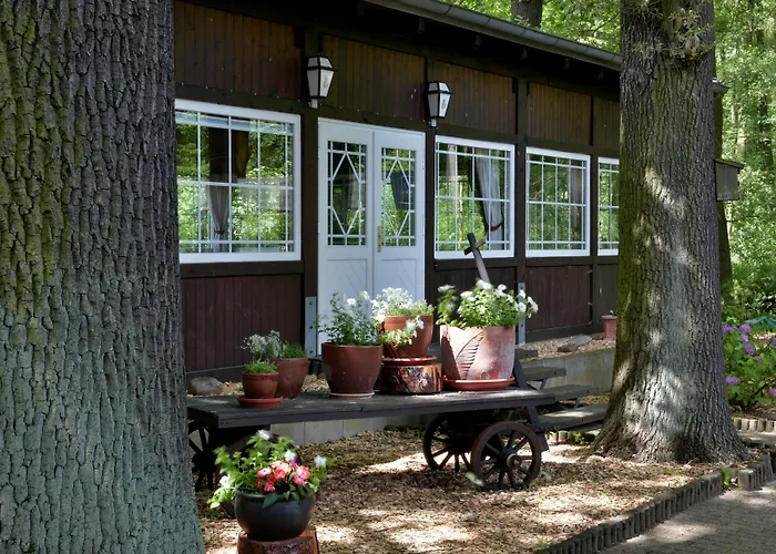 Waldhotel Eiche Hotel Burg (Spreewald)